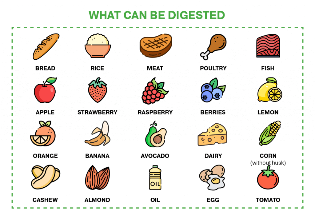 Most foods can be digested by the LFC biodigester, such as bread, rice, meat, fish, most fruits and vegetables, dairy products, nuts and oil.